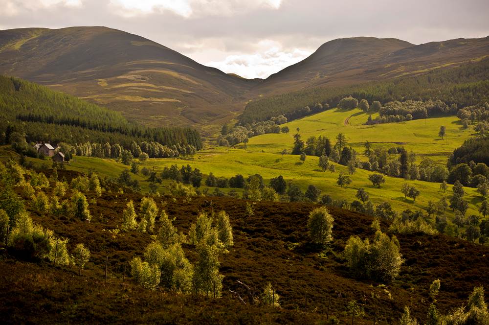 May in the North East