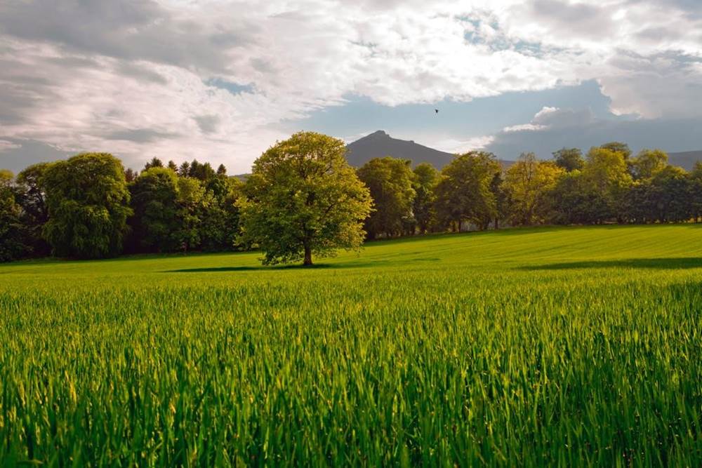 June in the North East